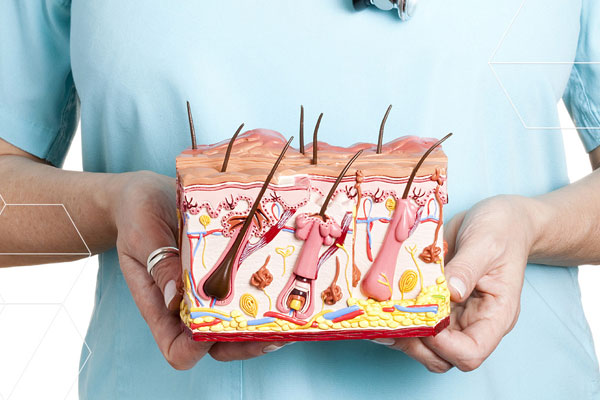 ПРИГЛАШАЕМ ПРИНЯТЬ УЧАСТИЕ В ОЛИМПИАДЕ ПО ДЕРМАТОВЕНЕРОЛОГИИ