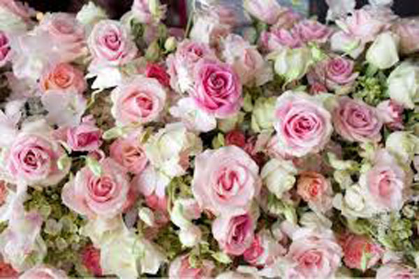 ПОЗДРАВЛЯЕМ КОЛЛЕГ С НАГРАДАМИ ПРЕЗИДЕНТА РФ