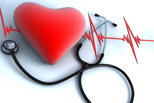 Олимпиада по кардиологии