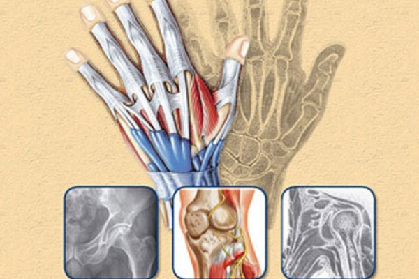ВНУТРИВУЗОВСКАЯ ОЛИМПИАДА ПО ТОПОГРАФИЧЕСКОЙ АНАТОМИИ И ОПЕРАТИВНОЙ ХИРУРГИИ