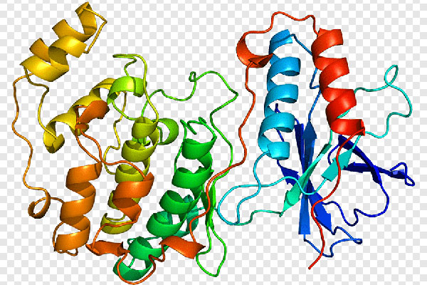 ПРИГЛАШАЕМ К УЧАСТИЮ В ОЛИМПИАДЕ ПО БИОХИМИИ
