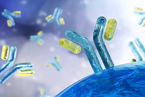 ПРИГЛАШАЕМ ПРИНЯТЬ УЧАСТИЕ В ОЛИМПИАДЕ ДЛЯ ОРДИНАТОРОВ «АЛЛЕРГИЧЕСКИЕ ЗАБОЛЕВАНИЯ КОЖИ»