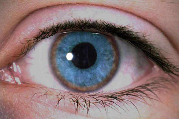 Разработки РязГМУ помогут людям с болезнью Вильсона-Коновалова