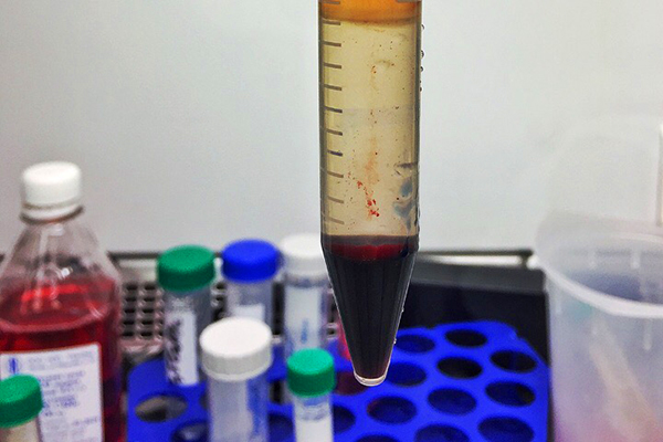 Итоги экспедиции в Казань