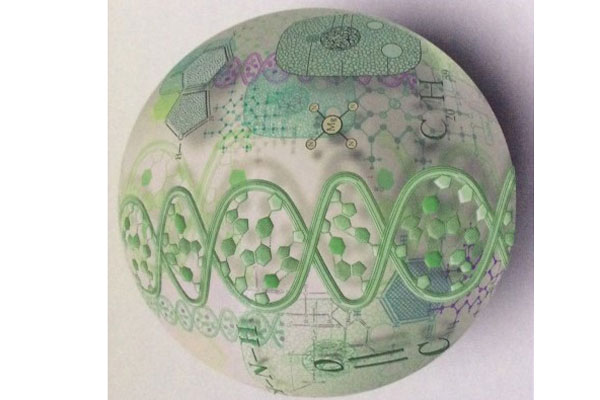 ПОДВЕДЕНЫ ИТОГИ ОЛИМПИАДЫ ПО БИОЛОГИИ СРЕДИ СТУДЕНТОВ СТОМАТОЛОГИЧЕСКОГО ФАКУЛЬТЕТА