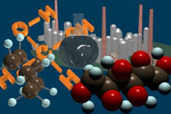 Внутривузовская олимпиада по Биоорганической химии