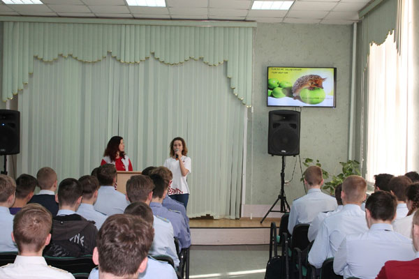 Итоги всероссийской акции «Будь здоров», посвященной  Всемирному Дню здоровья