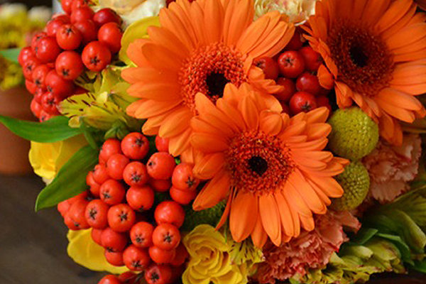 Поздравление ректора РязГМУ с Днем знаний