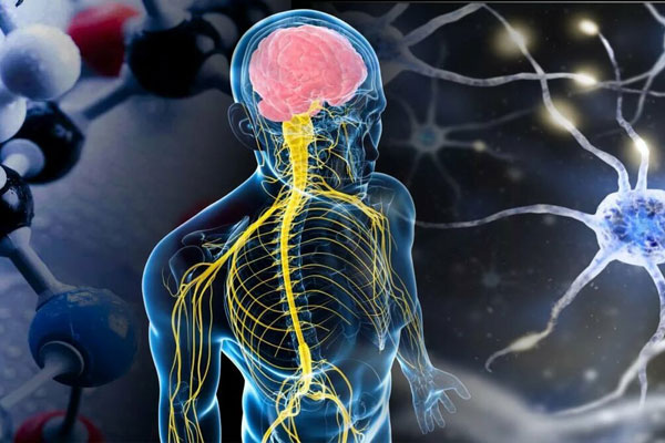 Приглашаем к участию в олимпиаде по патофизиологии