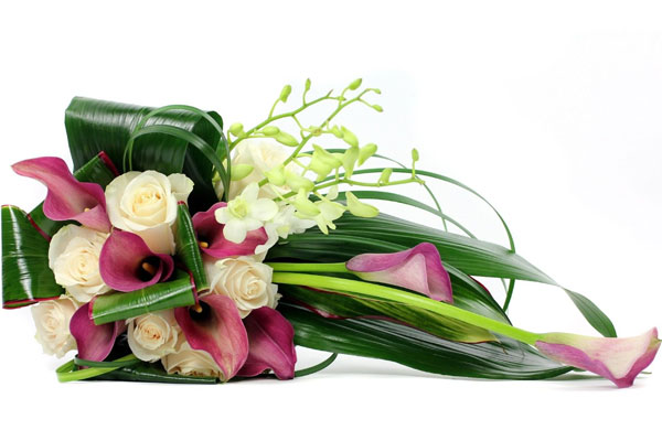 Поздравление ректора Калинина Романа Евгеньевича с МЕЖДУНАРОДНЫМ ЖЕНСКИМ ДНЁМ