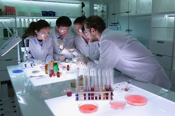 В РЯЗГМУ СОСТОИТСЯ КОНКУРС НАУЧНЫХ СТУДЕНЧЕСКИХ РАБОТ ПО МИКРОБИОЛОГИИ