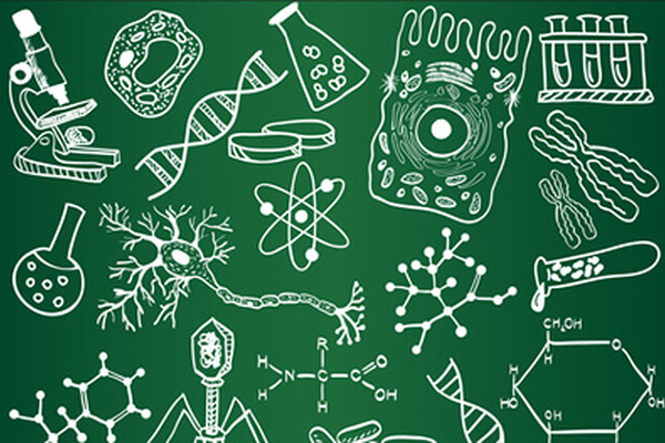 ОЛИМПИАДА «БИОЛОГИЯ – ТЕОРЕТИЧЕСКАЯ ОСНОВА ПРОФИЛАКТИЧЕСКОЙ МЕДИЦИНЫ»