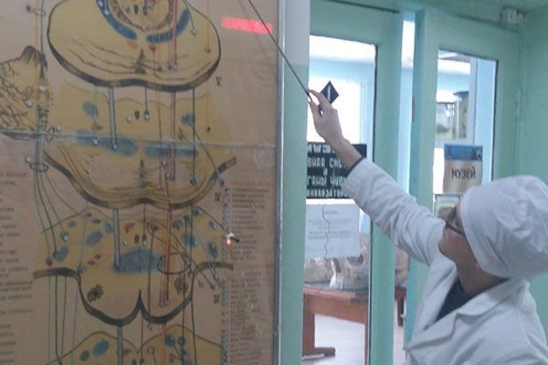 Новости кафедры анатомии