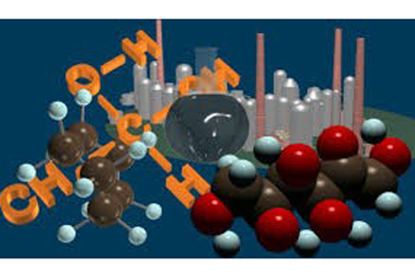 Внутривузовская олимпиада по Биоорганической химии
