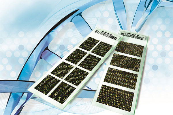 РАСШИРЯЯ  ГОРИЗОНТЫ