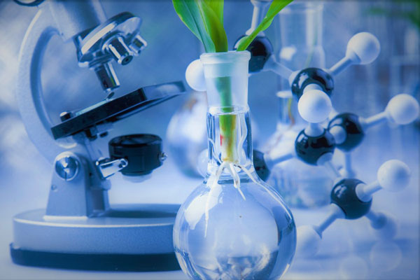 ПРИГЛАШАЕМ К УЧАСТИЮ В ОЛИМПИАДЕ ПО БИОЛОГИИ