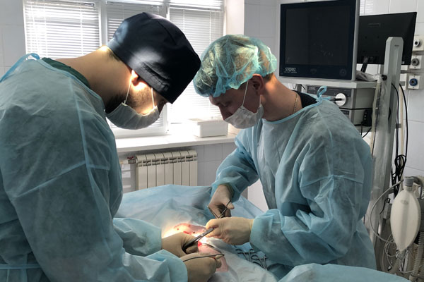 В РЯЗГМУ РАЗРАБОТАЛИ НОВЫЙ СПОСОБ НАЛОЖЕНИЯ ШВОВ