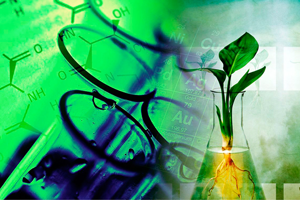 ПОДВЕДЕНЫ ИТОГИ ОЛИМПИАДЫ ПО БИООРГАНИЧЕСКОЙ ХИМИИ