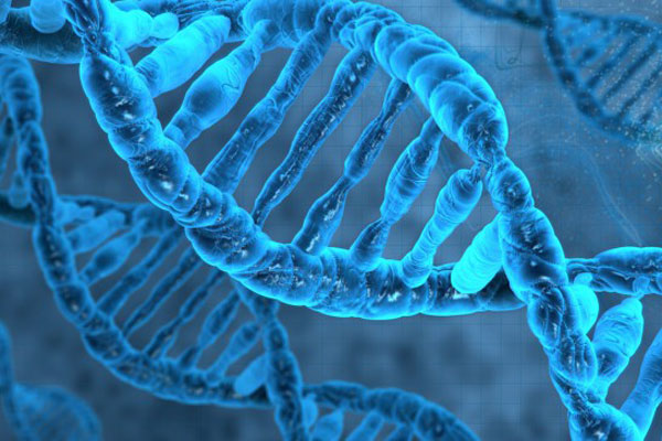 ПРИГЛАШАЕМ ПРИНЯТЬ УЧАСТИЕ В ОЛИМПИАДЕ ПО ПРЕДМЕТУ «БИОЛОГИЯ»