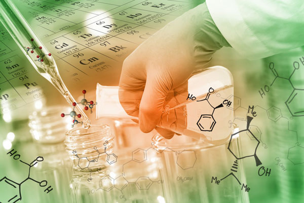 ИТОГИ ОЛИМПИАДЫ ПО БИООРГАНИЧЕСКОЙ ХИМИИ