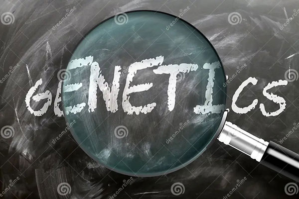 ПРИГЛАШАЕМ НА ВСТРЕЧУ СТУДЕНТОВ И ПРЕПОДАВАТЕЛЕЙ