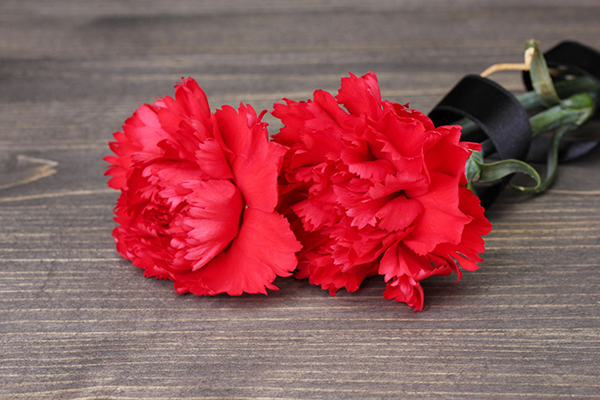 НА ФАСАДЕ ТУБДИСПАНСЕРА ПОЯВИТСЯ МЕМОРИАЛЬНАЯ ДОСКА ПРОФЕССОРУ РЯЗГМУ ЕВГЕНИЮ СЕМЕНОВИЧУ КОРОБКОВУ