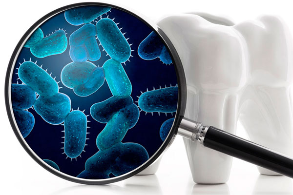 Олимпиада по микробиологии для стоматологов