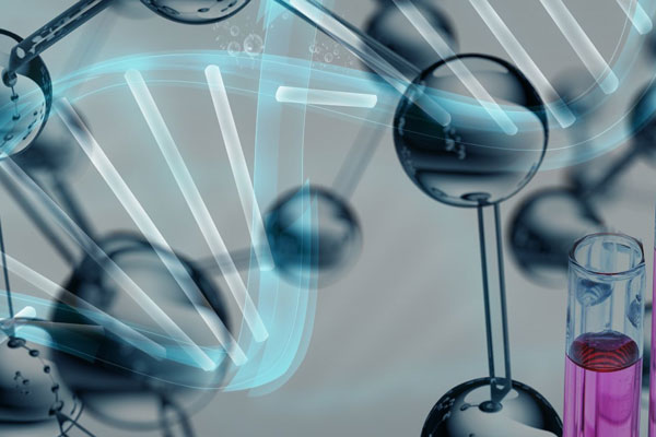 Биология – теоретическая основа медицины