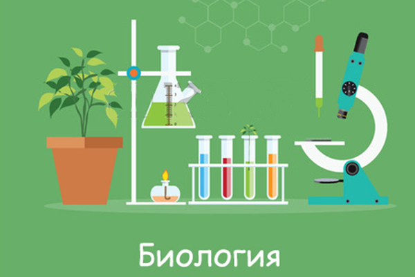 ОНЛАЙН ОЛИМПИАДА ПО БИОЛОГИИ