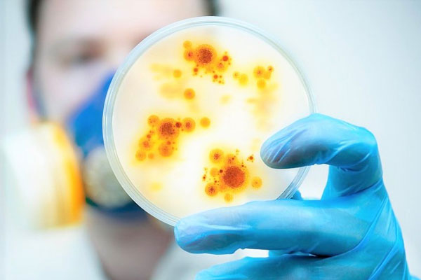 В РЯЗГМУ ОБСУДЯТ ВЕДЕНИЕ ПАЦИЕНТОВ С ИНФЕКЦИОННЫМИ ЗАБОЛЕВАНИЯМИ