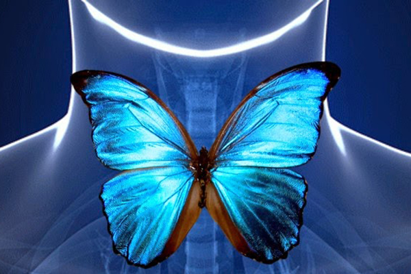 ПРИГЛАШАЕМ К УЧАСТИЮ В ОЛИМПИАДЕ ПО ЭНДОКРИНОЛОГИИ