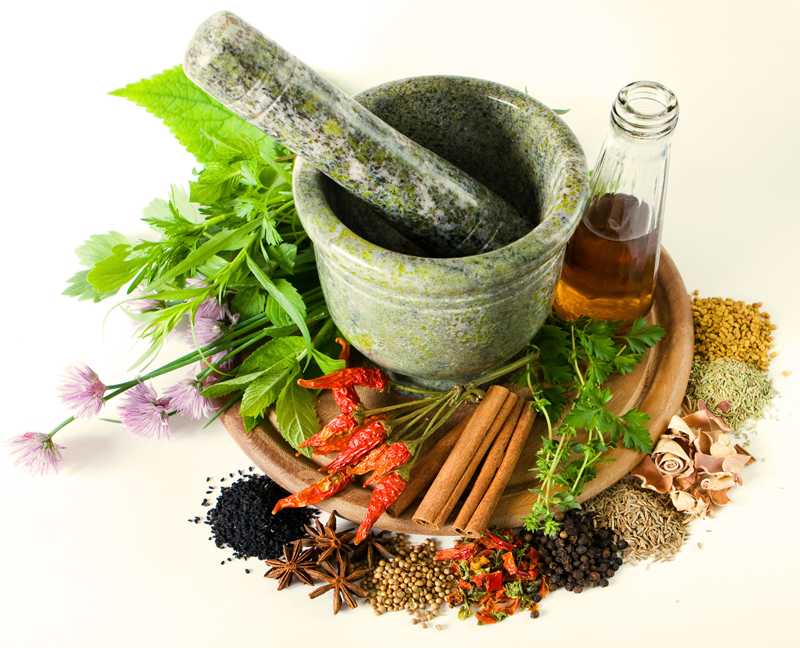 Олимпиада по фармакогнозии