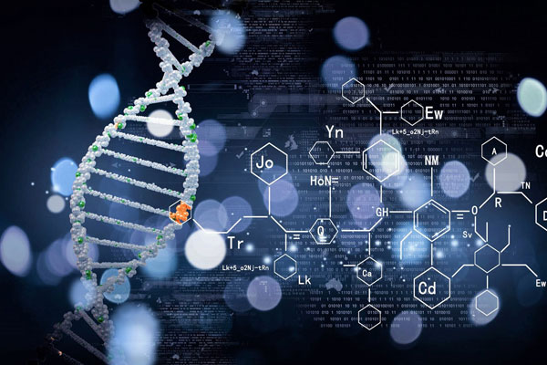 МЕЖВУЗОВСКАЯ НАУЧНО-ПРАКТИЧЕСКАЯ ON-LINE КОНФЕРЕНЦИЯ МОЛОДЫХ УЧЕНЫХ «ИТОГИ И ПЕРСПЕКТИВЫ БИОХИМИЧЕСКИХ ИССЛЕДОВАНИЙ»