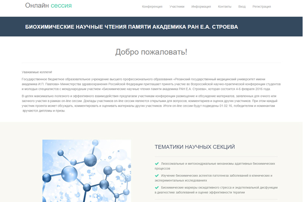 ИТОГИ ON-LINE СЕССИИ, ПРОХОДИВШЕЙ В РАМКАХ КОНФЕРЕНЦИИ ПАМЯТИ АКАДЕМИКА РАН Е.А. СТРОЕВА