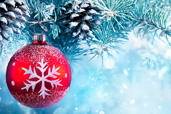 НОВОГОДНЕЕ ПОЗДРАВЛЕНИЕ РЕКТОРА УНИВЕРСИТЕТА, ПРОФЕССОРА Р.Е. КАЛИНИНА