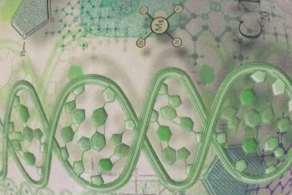 ПРИГЛАШАЕМ К УЧАСТИЮ В ОЛИМПИАДАХ ПО ПРЕДМЕТУ «БИОЛОГИЯ»