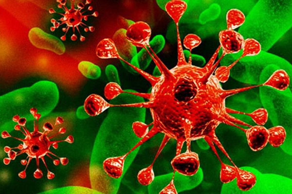 Расширенное заседание УМК по инфекционным болезням  Координационного совета по области образования  «Здравоохранение и медицинские науки»  в рамках научно-практической конференции  ИНФЕКЦИОННЫЕ БОЛЕЗНИ: ВЫЗОВЫ И УГРОЗЫ ПРАКТИКЕ ЗДРАВООХРАНЕНИЯ