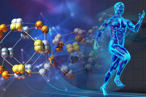 Олимпиада по патофизиологии