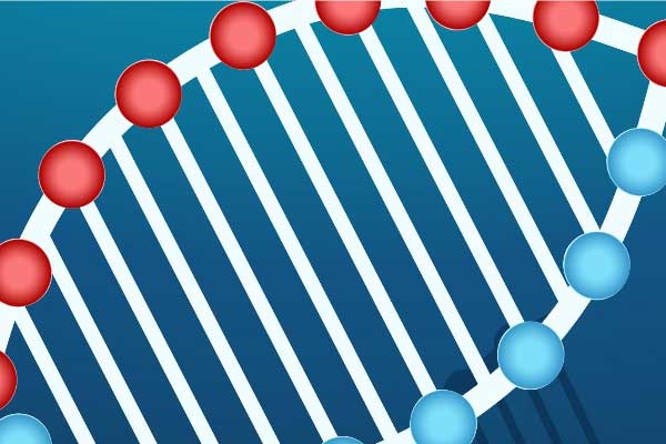 ПОЗДРАВЛЯЕМ С УСПЕШНЫМ ПРОХОЖДЕНИЕМ ОТБОРОЧНОГО ЭТАПА ОЛИМПИАД ШКОЛЬНИКОВ ПО БИОЛОГИИ И ХИМИИ!