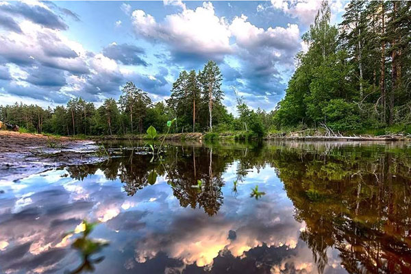 ПОДДЕРЖИМ ЭКО-ТУРИЗМ В РЯЗАНИ